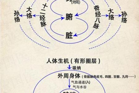 五行与身体健康的奇妙关系，了解你的体质关键