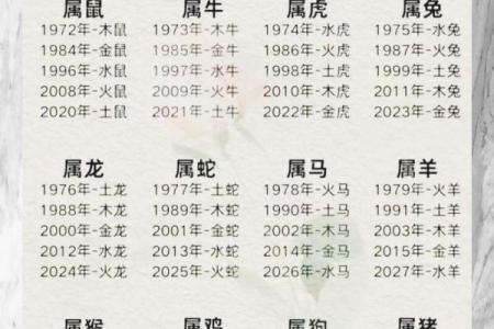 挺五行属什么？解密五行与命运的关系