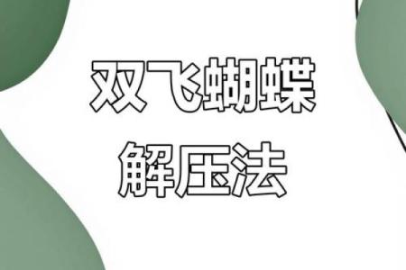 如何理解双飞蝴蝶命的象征与运势