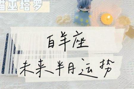 如何根据猫骨命调整个人运势