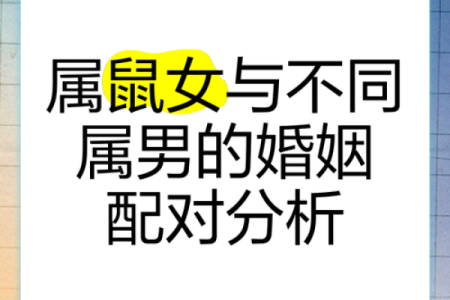 鼠与鼠的婚姻是否长久？深度解析