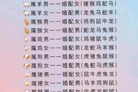 猪兔婚姻配对的优缺点解析