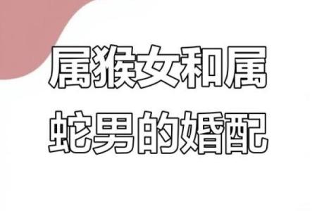 属鼠男与属蛇女的缘分与挑战