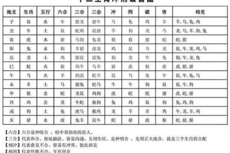 女兔男龙的配对缘分解析