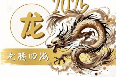 属龙运势展望，财富与健康的双重挑战