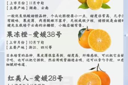 桔字五行属性解析，了解它对你命运的影响