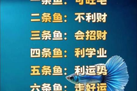 在办公室养鱼助运的风水技巧
