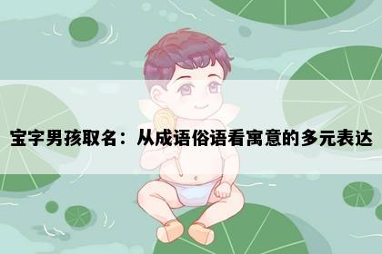 宝字男孩取名：从成语俗语看寓意的多元表达