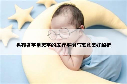 男孩名字用志字的五行平衡与寓意美好解析